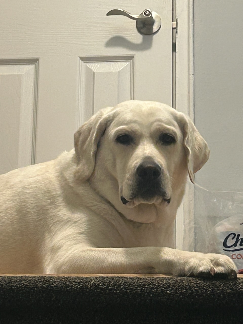 LUNA+58